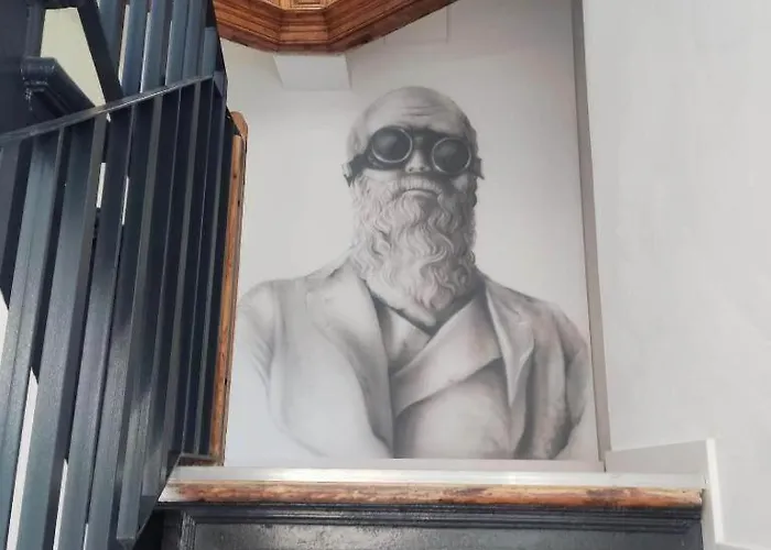 Kamienica Centrum Nr 13 アパート